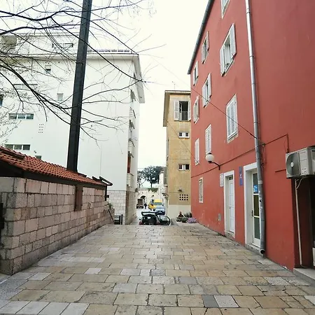 Boris * Zadar